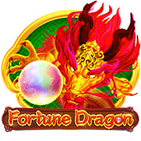 Fortune Dragon